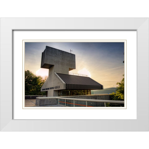 Raccoon Observatory White Modern Wood Framed Art Print with Double Matting by Lee, Rachel