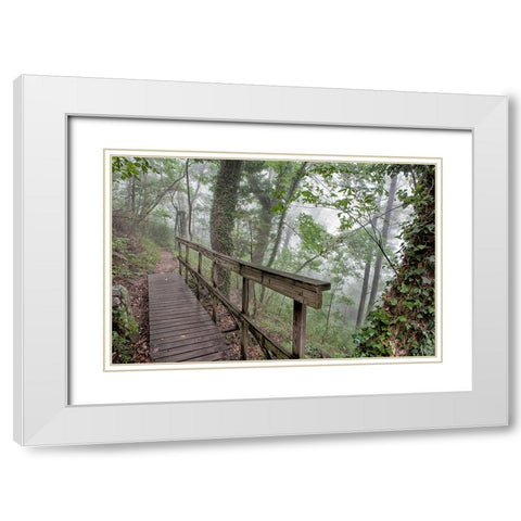 Scenic City 35 White Modern Wood Framed Art Print with Double Matting by Lee, Rachel