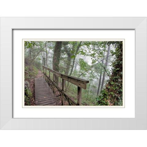 Scenic City 35 White Modern Wood Framed Art Print with Double Matting by Lee, Rachel
