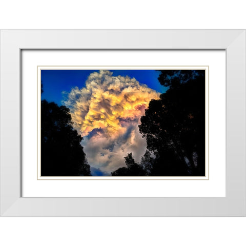 Signal Cloud White Modern Wood Framed Art Print with Double Matting by Lee, Rachel