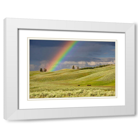Sky 4 White Modern Wood Framed Art Print with Double Matting by Lee, Rachel