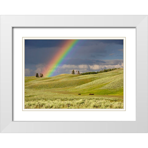 Sky 4 White Modern Wood Framed Art Print with Double Matting by Lee, Rachel
