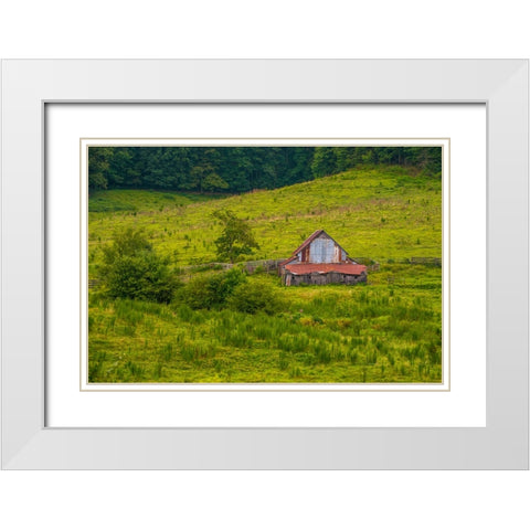 Smokies Barn White Modern Wood Framed Art Print with Double Matting by Lee, Rachel