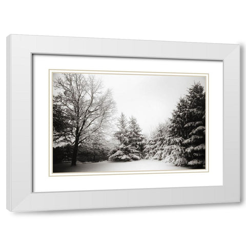 Snow Trees White Modern Wood Framed Art Print with Double Matting by Lee, Rachel
