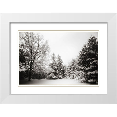 Snow Trees White Modern Wood Framed Art Print with Double Matting by Lee, Rachel