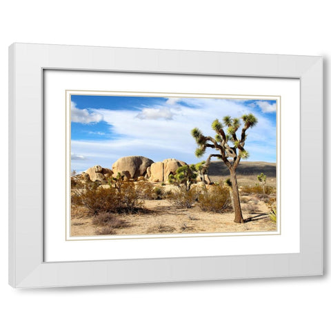 Southwest 1 White Modern Wood Framed Art Print with Double Matting by Lee, Rachel