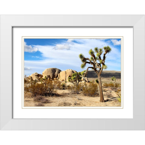Southwest 1 White Modern Wood Framed Art Print with Double Matting by Lee, Rachel
