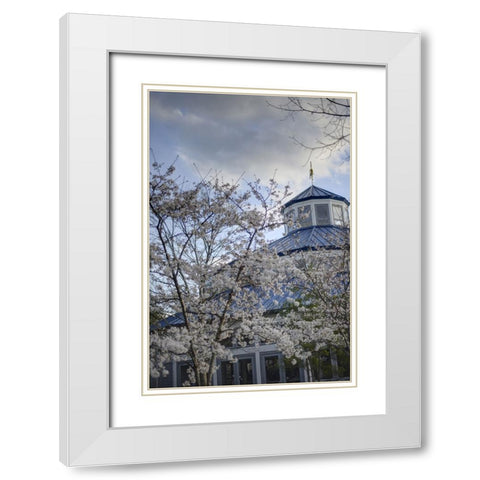 Spring Carousel White Modern Wood Framed Art Print with Double Matting by Lee, Rachel