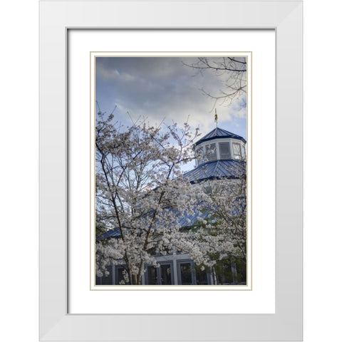 Spring Carousel White Modern Wood Framed Art Print with Double Matting by Lee, Rachel