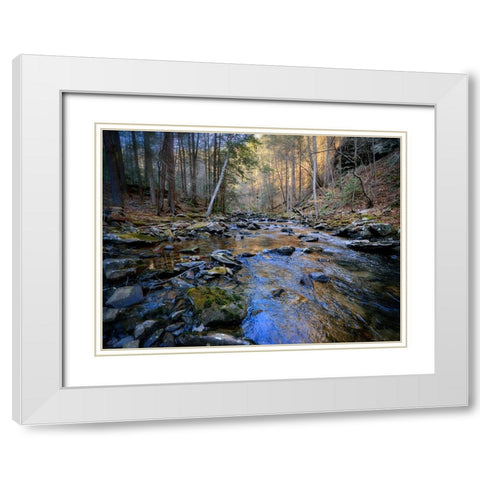 Stinging Fork Creek 2 White Modern Wood Framed Art Print with Double Matting by Lee, Rachel