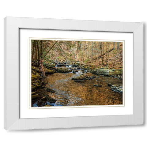 Stinging Fork Creek 3 White Modern Wood Framed Art Print with Double Matting by Lee, Rachel