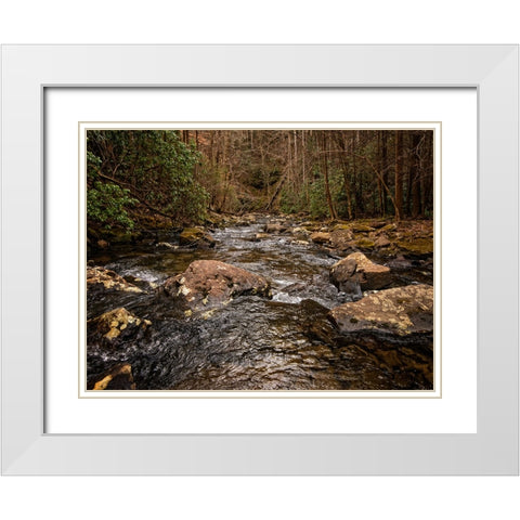 Stinging Fork Creek 4 White Modern Wood Framed Art Print with Double Matting by Lee, Rachel