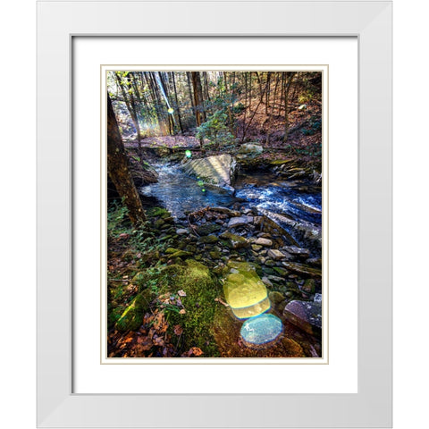 Stinging Fork Creek 5 White Modern Wood Framed Art Print with Double Matting by Lee, Rachel