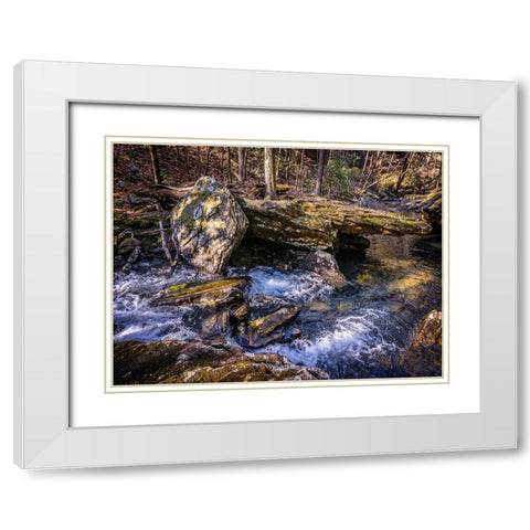 Stinging Fork Creek 7 White Modern Wood Framed Art Print with Double Matting by Lee, Rachel