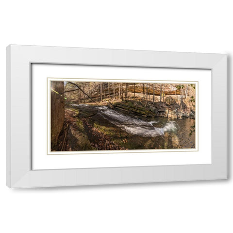 Stinging Fork Slide 3 White Modern Wood Framed Art Print with Double Matting by Lee, Rachel