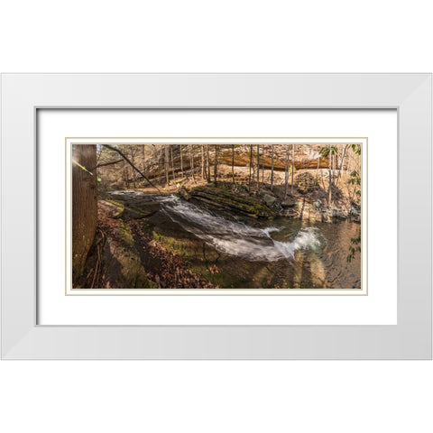 Stinging Fork Slide 3 White Modern Wood Framed Art Print with Double Matting by Lee, Rachel