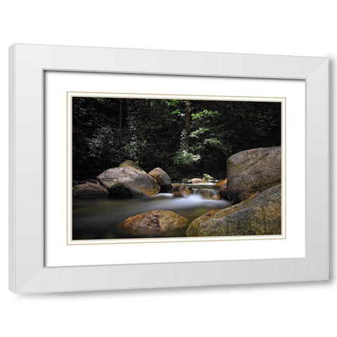 Stream 10 White Modern Wood Framed Art Print with Double Matting by Lee, Rachel