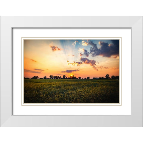 Tree Sunset 2 White Modern Wood Framed Art Print with Double Matting by Lee, Rachel