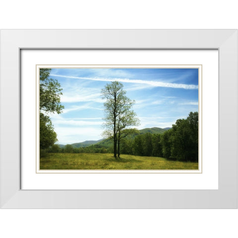 Trees 11 White Modern Wood Framed Art Print with Double Matting by Lee, Rachel