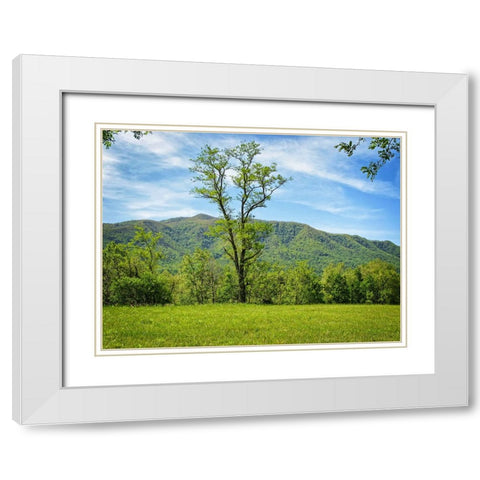 Trees 12 White Modern Wood Framed Art Print with Double Matting by Lee, Rachel