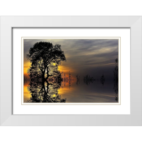 Trees 16 White Modern Wood Framed Art Print with Double Matting by Lee, Rachel