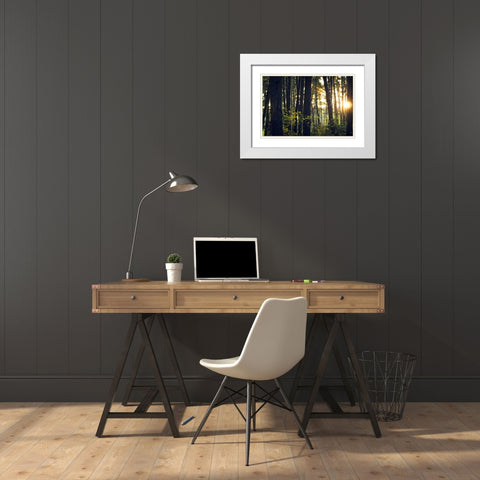 Trees 19 White Modern Wood Framed Art Print with Double Matting by Lee, Rachel