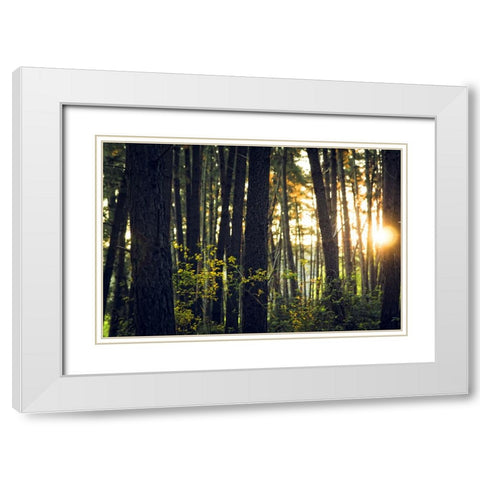 Trees 19 White Modern Wood Framed Art Print with Double Matting by Lee, Rachel