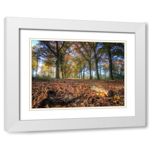 Trees 2 White Modern Wood Framed Art Print with Double Matting by Lee, Rachel
