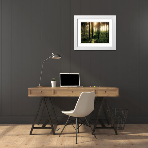 Trees 20 White Modern Wood Framed Art Print with Double Matting by Lee, Rachel