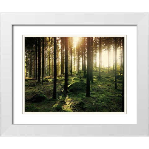 Trees 20 White Modern Wood Framed Art Print with Double Matting by Lee, Rachel