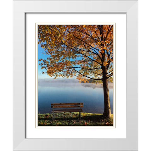 Trees 21 White Modern Wood Framed Art Print with Double Matting by Lee, Rachel