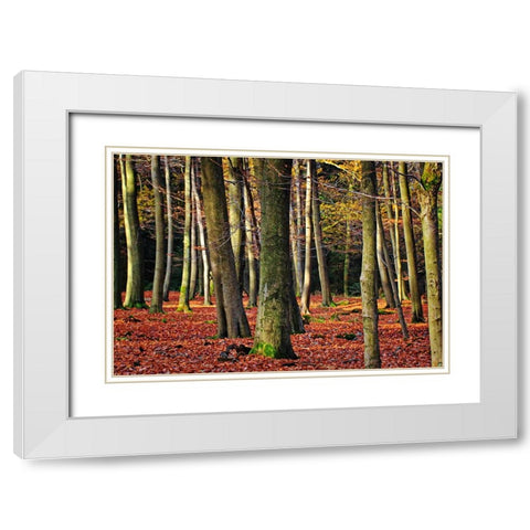 Trees 22 White Modern Wood Framed Art Print with Double Matting by Lee, Rachel