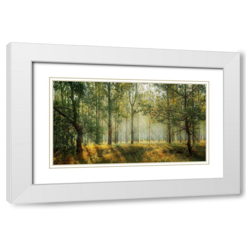 Trees 27 White Modern Wood Framed Art Print with Double Matting by Lee, Rachel