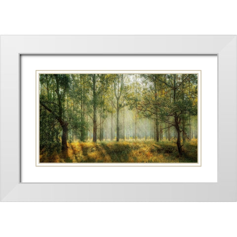 Trees 27 White Modern Wood Framed Art Print with Double Matting by Lee, Rachel