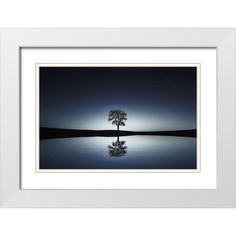 Trees 29 White Modern Wood Framed Art Print with Double Matting by Lee, Rachel