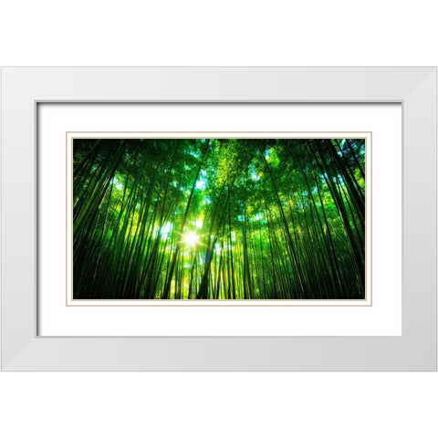 Trees 31 White Modern Wood Framed Art Print with Double Matting by Lee, Rachel