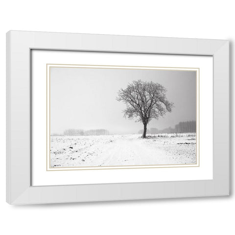 Trees 33 White Modern Wood Framed Art Print with Double Matting by Lee, Rachel