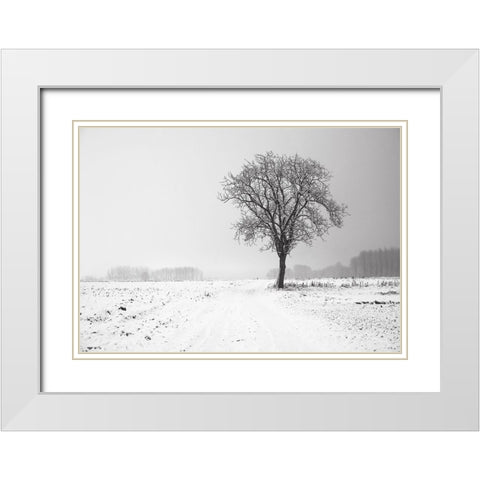 Trees 33 White Modern Wood Framed Art Print with Double Matting by Lee, Rachel