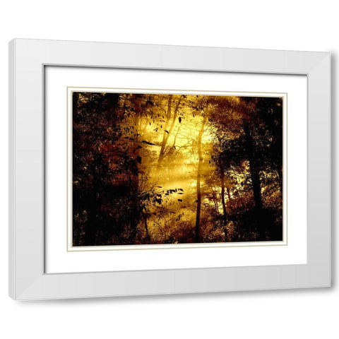 Trees 34 White Modern Wood Framed Art Print with Double Matting by Lee, Rachel