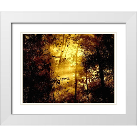 Trees 34 White Modern Wood Framed Art Print with Double Matting by Lee, Rachel