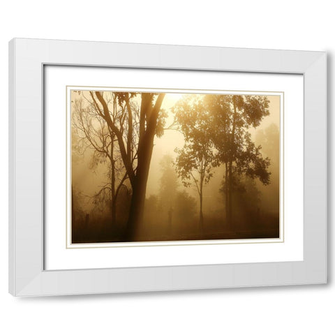 Trees 37 White Modern Wood Framed Art Print with Double Matting by Lee, Rachel