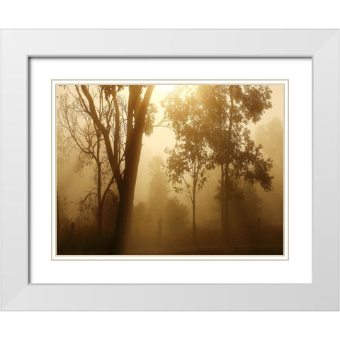 Trees 37 White Modern Wood Framed Art Print with Double Matting by Lee, Rachel