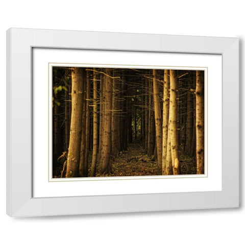 Trees 39 White Modern Wood Framed Art Print with Double Matting by Lee, Rachel