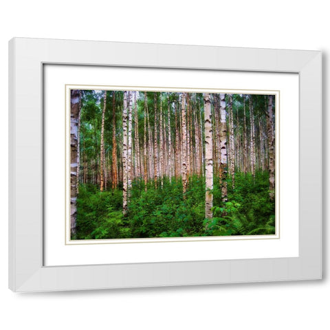 Trees 4 White Modern Wood Framed Art Print with Double Matting by Lee, Rachel