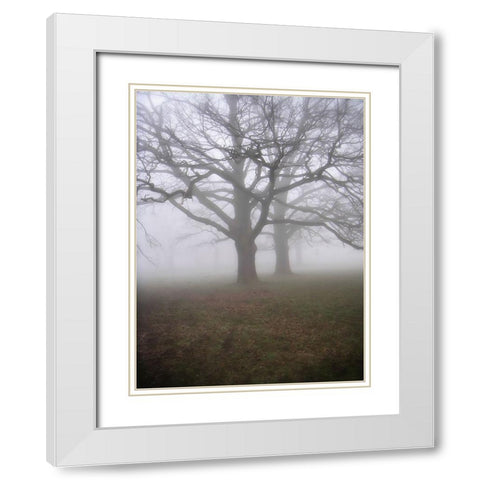 Trees 40 White Modern Wood Framed Art Print with Double Matting by Lee, Rachel