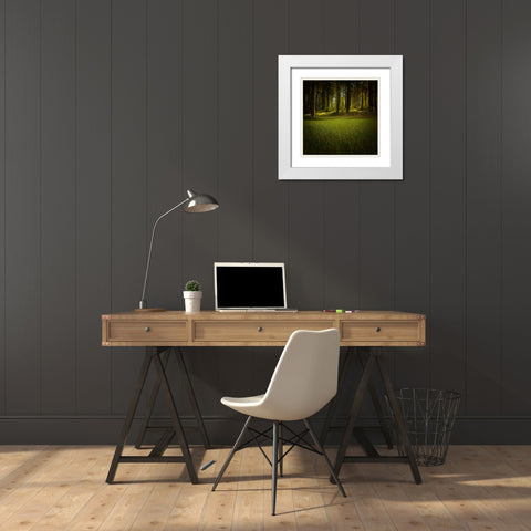 Trees 41 White Modern Wood Framed Art Print with Double Matting by Lee, Rachel