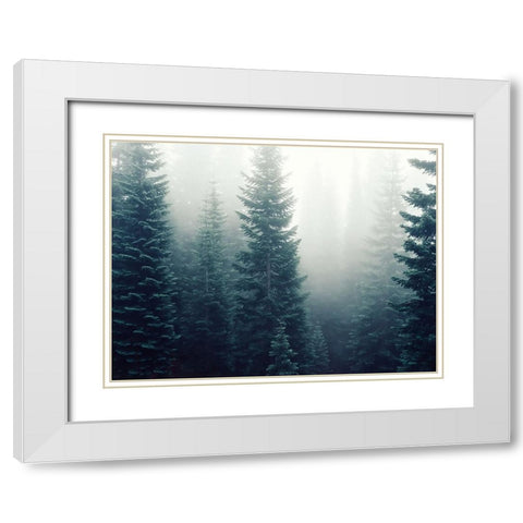 Trees 42 White Modern Wood Framed Art Print with Double Matting by Lee, Rachel