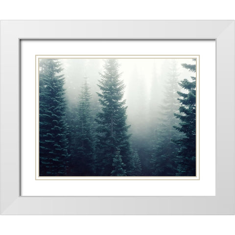 Trees 42 White Modern Wood Framed Art Print with Double Matting by Lee, Rachel