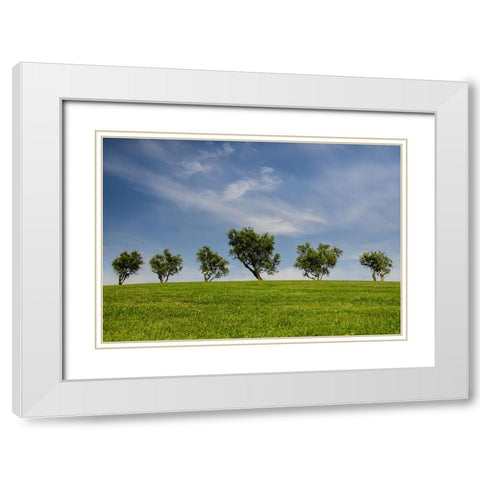 Trees 43 White Modern Wood Framed Art Print with Double Matting by Lee, Rachel