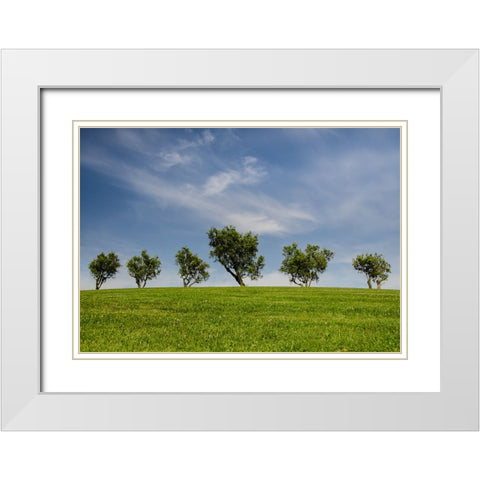 Trees 43 White Modern Wood Framed Art Print with Double Matting by Lee, Rachel
